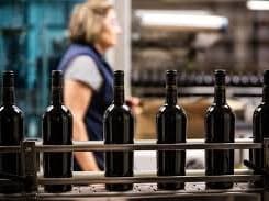 Bottling Line Worker