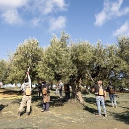 Export & Orders Coordinator