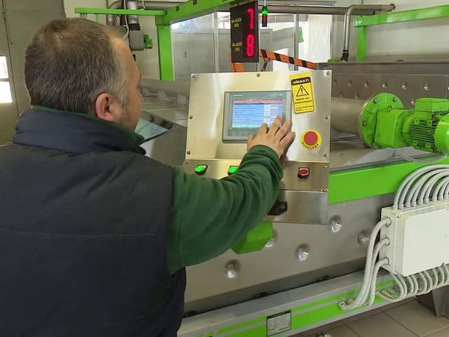 Olive Oil Extraction Operator