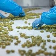 Packaging & Quality Control