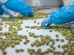 Packaging & Quality Control